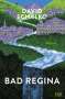 David Schalko: Bad Regina, Buch
