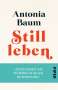 Antonia Baum: Stillleben, Buch