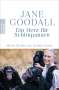 Jane Goodall: Ein Herz für Schimpansen, Buch