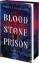 Titel: "BLOOD STONE PRISON". Autor: Franka Neubauer. Roman. Blau-rotes Cover mit einem mystischen Schloss.