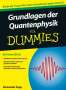 Alexander Rapp: Grundlagen der Quantenphysik für Dummies, Buch