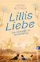 Anna Reitner: Lillis Liebe - Ein Sommer in Enzianblau, Buch