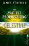 James Redfield: Die zwölfte Prophezeiung von Celestine, Buch