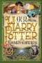 J. K. Rowling: Harry Potter 2 und die Kammer des Schreckens, Buch