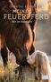 Chantal Schreiber: Mein Feuerpferd - Ritt im Nordlicht, Buch, Buch