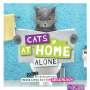 Klaus Bunte: Cats at home alone - Das Geschenkbuch für Katzenliebhaber, Buch