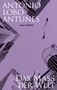 „António Lobo Antunes, Roman Luchterhand, Das Maß der Welt“. Gebäude und Möwe am Himmel, lila Farbtöne.