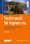 Klaus Dürrschnabel: Mathematik für Ingenieure, Buch