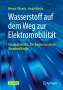 Werner Tillmetz: Wasserstoff auf dem Weg zur Elektromobilität, Buch