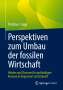 Christian J. Jäggi: Perspektiven zum Umbau der fossilen Wirtschaft, Buch