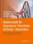 Laurenz Göllmann: Mathematik für Ingenieure: Verstehen - Rechnen - Anwenden, Buch