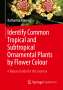 Katharina Kreissig: Identify Common Tropical and Subtropical Ornamental Plants by Flower Colour, Buch