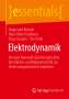 Siegmund Brandt: Elektrodynamik, Buch