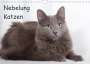 Fotodesign Verena Scholze: Nebelung Katzen (Wandkalender 2022 DIN A4 quer), KAL