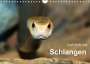 Michael Herzog: Gefährliche Schlangen (Wandkalender 2022 DIN A4 quer), KAL