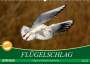 Axel Kottal Claudia Elsner: Flügelschlag - Vögel in ihrem natürlichen Lebensraum (Wandkalender 2022 DIN A2 quer), KAL