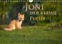 Marcello Zerletti: Joni, der kleine Fuchs (Wandkalender 2022 DIN A4 quer), KAL