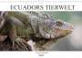 Jeanette Dobrindt: Ecuadors Tierwelt (Wandkalender 2022 DIN A4 quer), Kalender