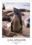 Jeanette Dobrindt: Galapagos - Atemberaubende Tierwelt (Wandkalender 2022 DIN A4 hoch), Kalender