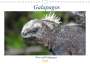Ralf Biebeler: Galapagos 2022 - Tiere auf Galapagos (Wandkalender 2022 DIN A4 quer), KAL
