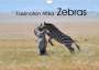 Elmar Weiss: Faszination Afrika: Zebras (Wandkalender 2022 DIN A4 quer), Kalender