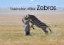 Elmar Weiss: Faszination Afrika: Zebras (Wandkalender 2022 DIN A2 quer), KAL