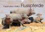 Elmar Weiss: Faszination Afrika: Flusspferde (Wandkalender 2022 DIN A4 quer), KAL
