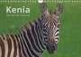 Andreas Mayer: Kenia - Die Tiere der Savanne (Wandkalender 2022 DIN A4 quer), Kalender