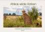 Ursula Di Chito: Afrikas wilde Katzen (Wandkalender 2022 DIN A3 quer), KAL