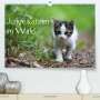 Dorothea Oldani: Junge Katzen im Wald (Premium, hochwertiger DIN A2 Wandkalender 2022, Kunstdruck in Hochglanz), Kalender