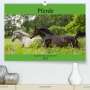 Elke Laage: Pferde, das größte Glück auf dieser Erde (Premium, hochwertiger DIN A2 Wandkalender 2022, Kunstdruck in Hochglanz), KAL