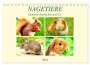 Rose Hurley: Nagetiere. Hamster, Kaninchen und Co. (Tischkalender 2024 DIN A5 quer), CALVENDO Monatskalender, Kalender