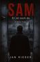 "Sam: Er ist noch da. Ein Berner Thriller. Jan Rieder." Ein Mann steht in einem dunklen Durchgang mit Blick auf eine Stadt., Buch