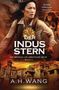 "Der Indus Stern", "Die Georgia-Lee-Abenteuer-Reihe", Buch 3, "A.H. Wang", "Die letzte Hoffnung der Menschheit." Frau, Hintergrund: Tempel.​​, Buch