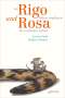 Lorenz Pauli: Als Rigo Mäuse anpflanzte und Rosa die Leoparden erfand, Buch