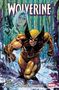 Titel: Wolverine. Untertitel: Blutiger Schnee. Im Schnee laufender Wolverine mit Krallen, Frau mit Waffe im Hintergrund. Comicstil., Buch