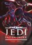 "Star Wars Jedi Fallen Order," Nummer 2. Illustration mit Kriegern in futuristischen Rüstungen, Lichtschwerter schwingend., Buch