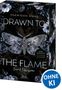 "Drawn to the Flame: Secret Obsession" steht in blauen Lettern. Dunkles Cover, Motten-Illustration, Blumenmuster, Badge: "OHNE KI"., Buch