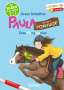 Ursel Scheffler: Paula auf dem Ponyhof. Das Ponyturnier, Buch
