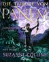 "Die Tribute von Panem: Gefährliche Liebe. Suzanne Collins. Illustriert von Nico Delort. Oetinger." Eine Person mit Pfeil und Bogen im Dschungel., Buch