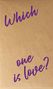 Tamamushi Oku: Which One Is Love? 04, Buch