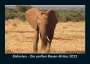 Tobias Becker: Elefanten - Die sanften Riesen Afrikas 2022 Fotokalender DIN A5, KAL