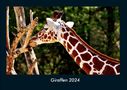 Tobias Becker: Giraffen 2024 Fotokalender DIN A4, Kalender