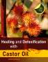 Christian Meyer-Esch: Healing and Detoxification with Castor Oil, Buch