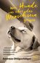 "Was Hunde uns über das Menschsein zeigen" – Autor: Andreas Ohligschläger. Illustration: Lila Hund mit Leine, rotes Herz., Buch