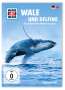 Was ist was: Wale und Delphine, DVD
