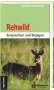Manfred Fischer: Rehwild, Buch
