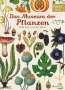 Katie Scott: Das Museum der Pflanzen, Buch