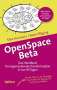 Silke Hermann: OpenSpace Beta, Buch