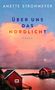"Anette Strohmeyer, Über uns das Nordlicht, Roman." Zwei rote Hütten an einem See unter rosa Wolken., Buch